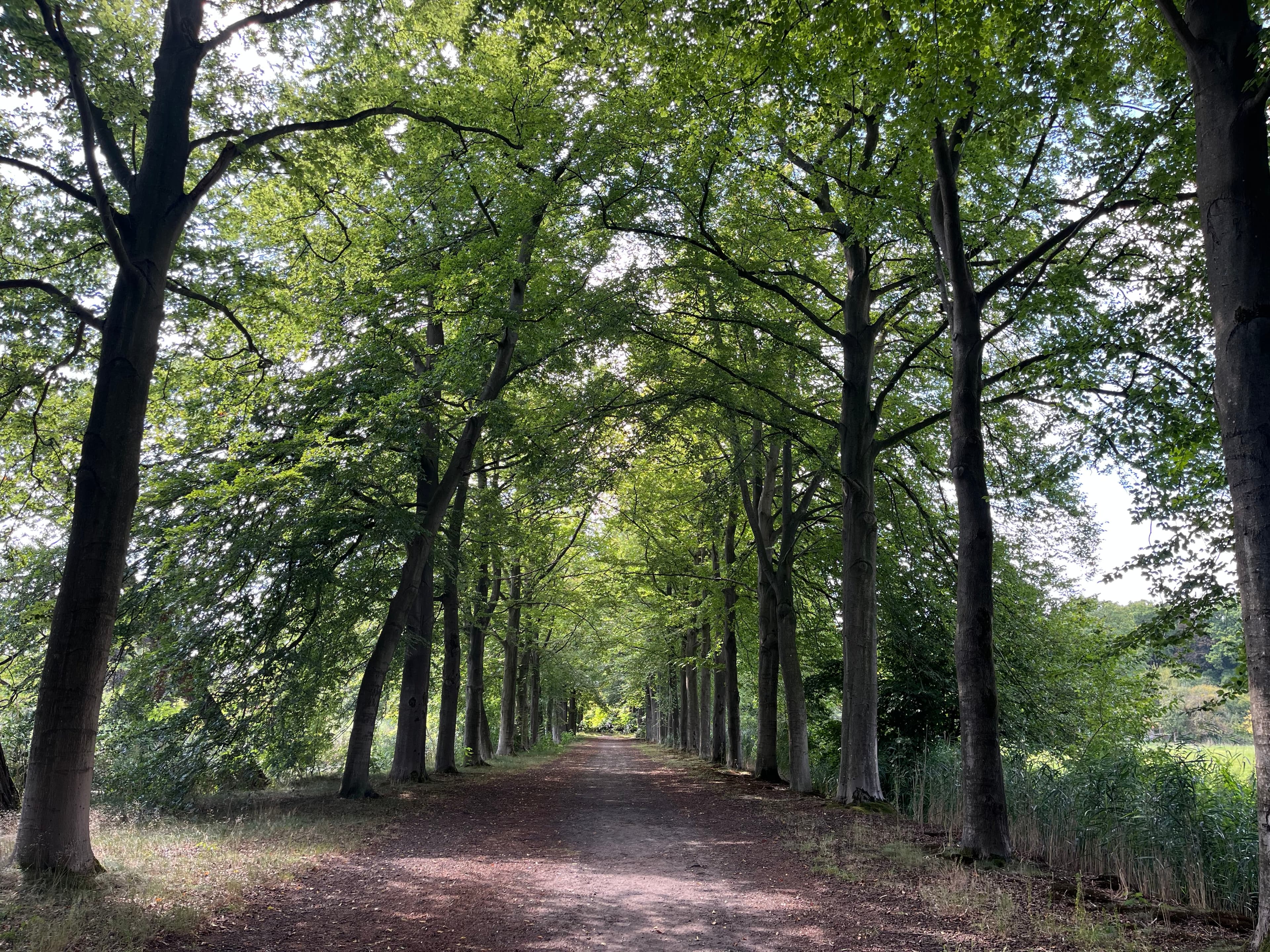 Of wat je zelf graag wilt doen!